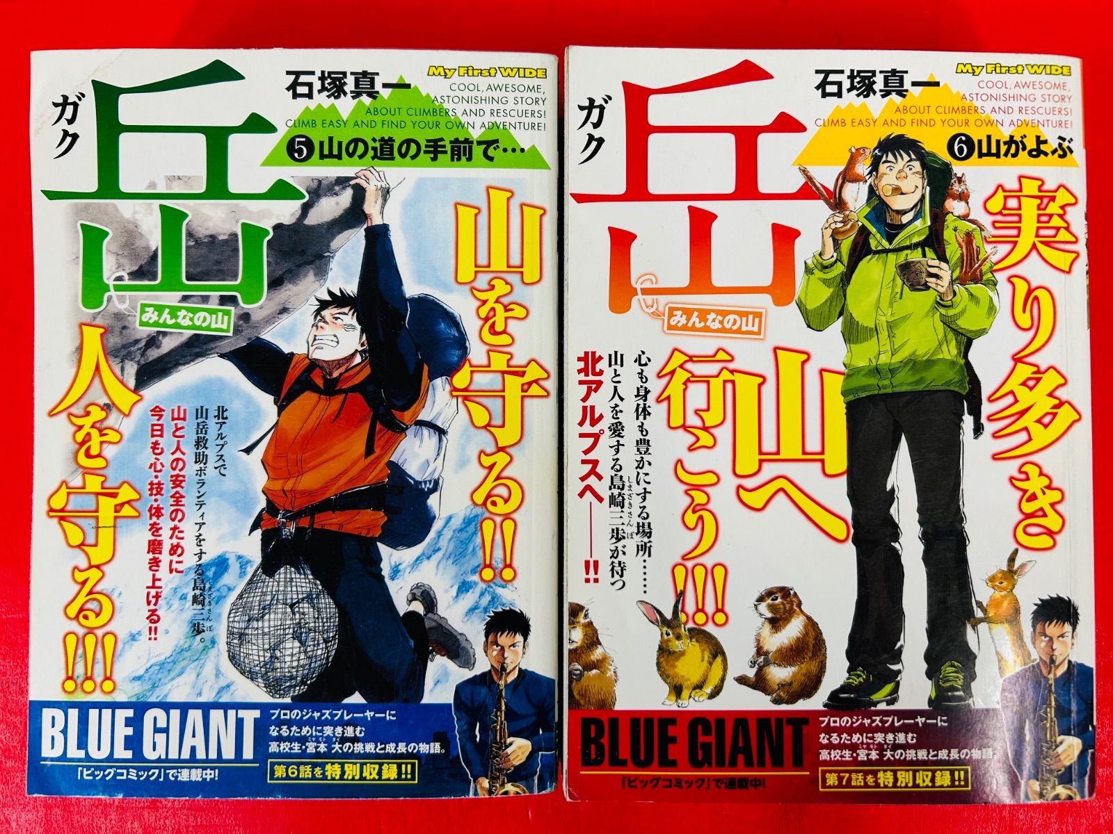 漫画『岳』完全版 全巻（1〜9巻）セット 岳 完全版 全巻セット 岳