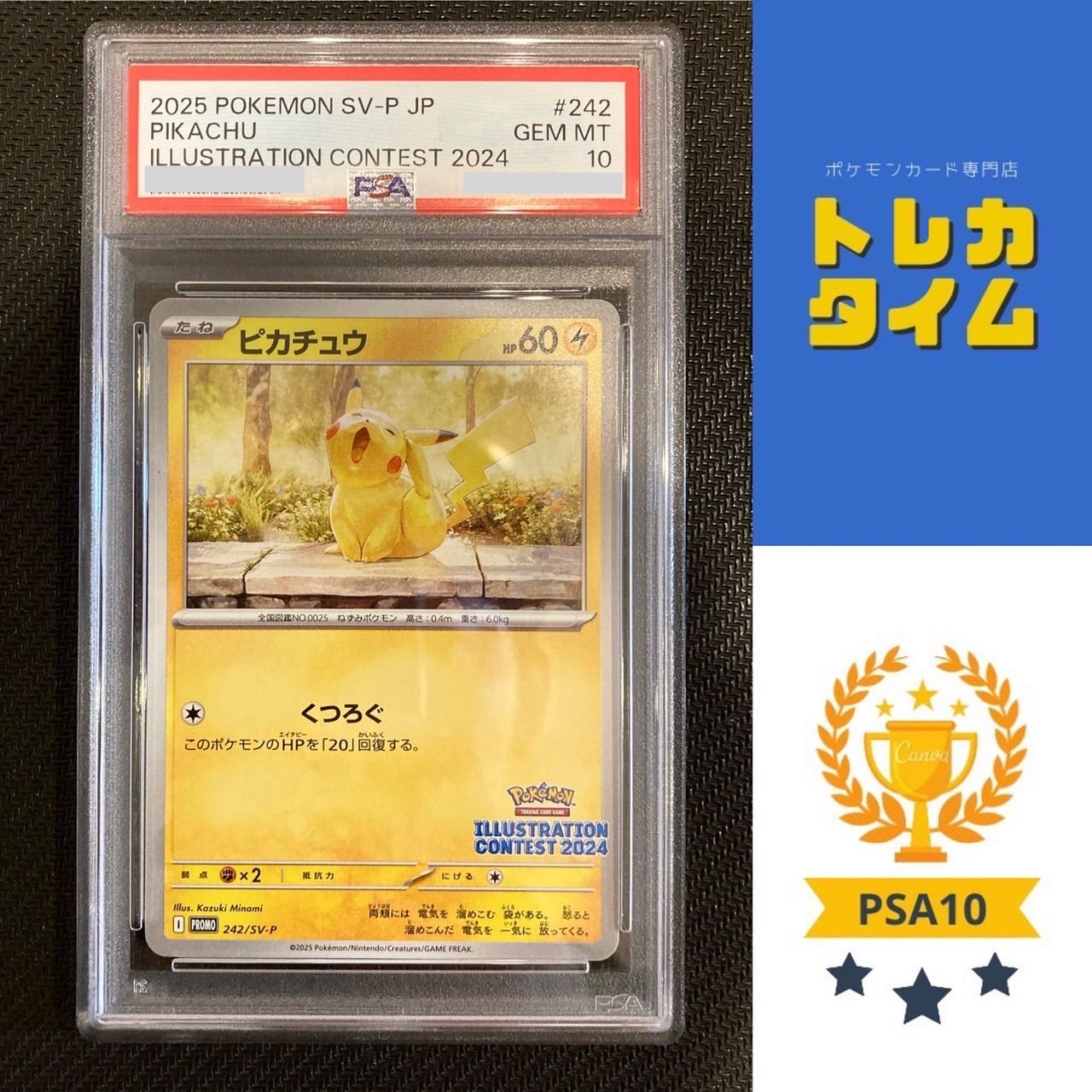 ポケカ 受賞作品プロモ イラストコンテスト 2024 3枚セット ピカチュウ