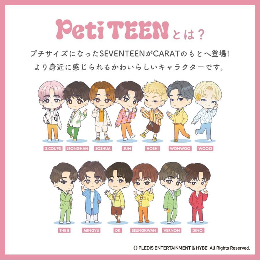 5種セット】SEVENTEEN PetiTEEN DK ドギョム 公式品 推し活 グッズ