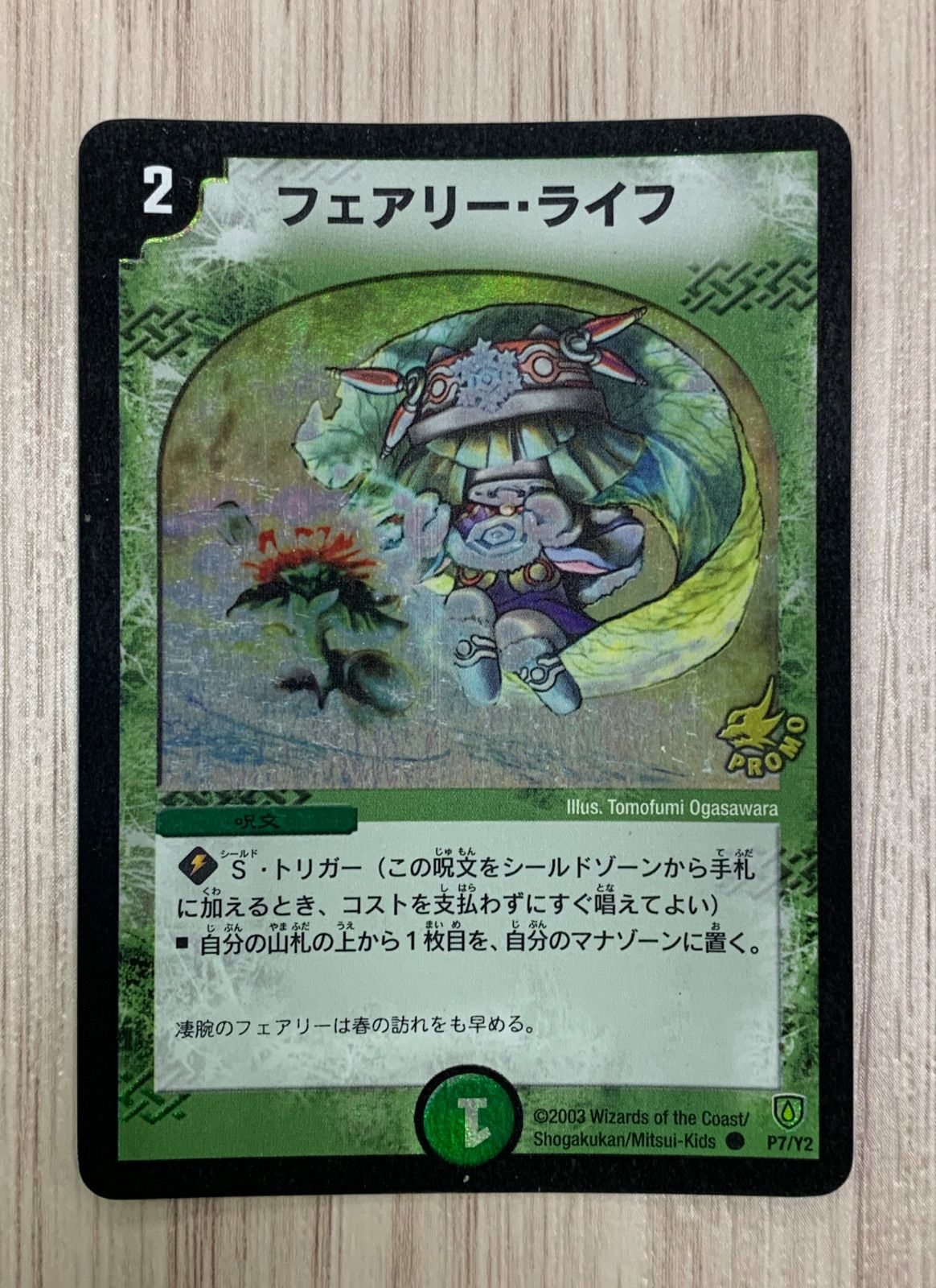 フェアリーライフ初期プロモ2枚セット