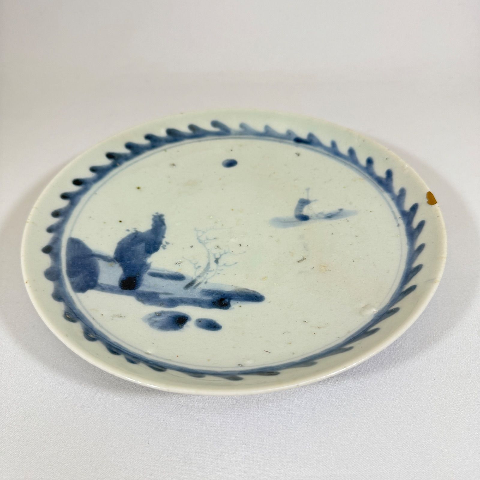 藍九谷 花唐草 皿（15.5㎝） 生掛け釉 初期伊万里 江戸前期 江戸初期