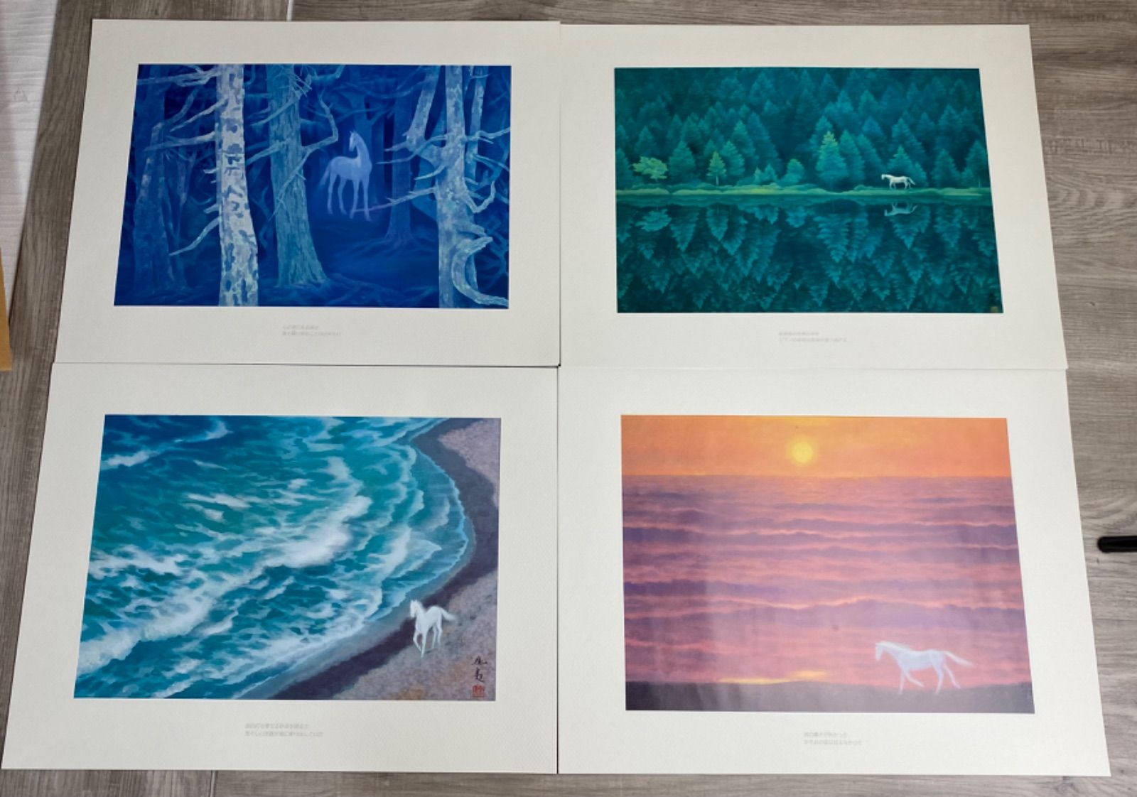 東山魁夷 作品集 『白馬幻想』日本経済新聞社 1990年 東山魁夷