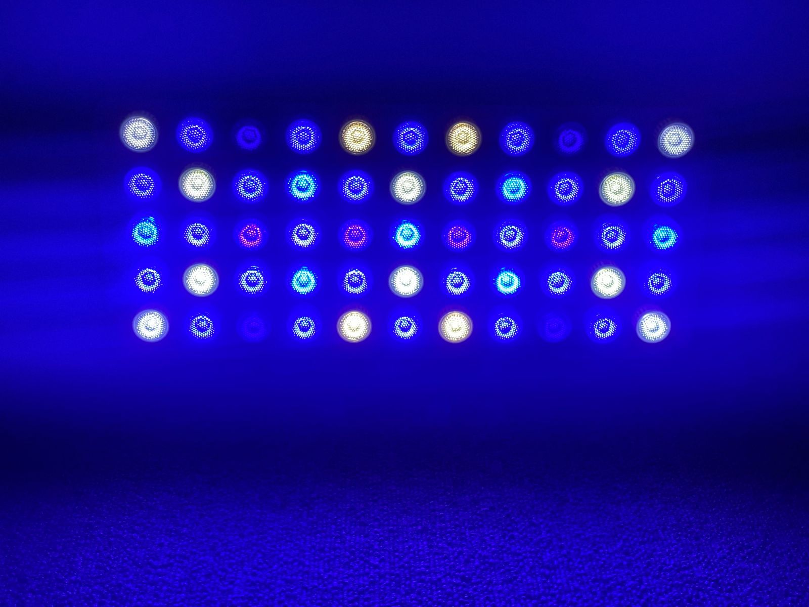 珊瑚水槽照明 LEDライト ブラックボックス PSE技術基準適合 プリズム