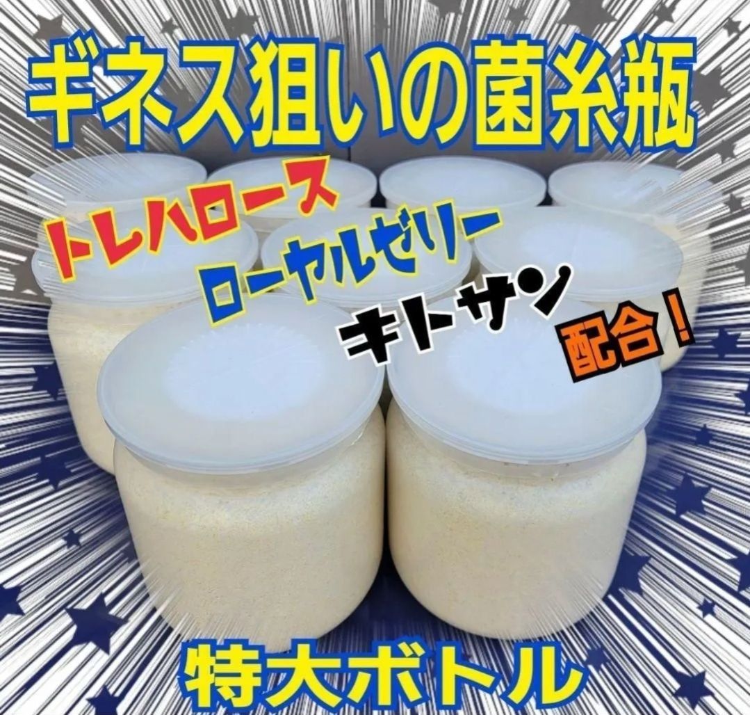 極上！ヒマラヤひらたけ菌糸瓶1500ml【7本】トレハロース、キトサン