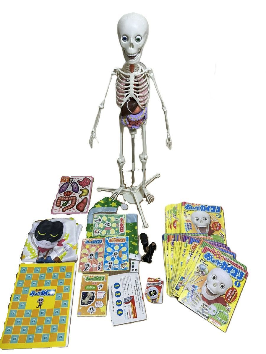 大幅値下げ おしえて！おしゃべりガイコツ 大幅値下げ おしえて