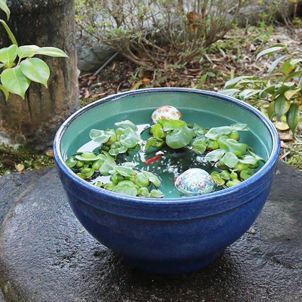 信楽焼 陶器 水鉢 メダカ鉢 金魚鉢 睡蓮鉢 13号ナマコ色水鉢 人気 su-0252
