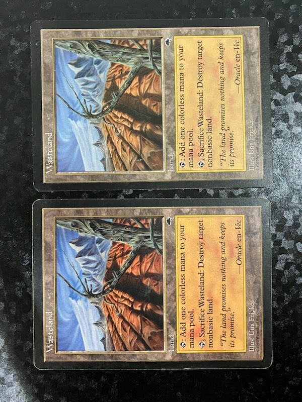 MTG 不毛の大地 褒賞プログラム 英語 foil MTG 《不毛の大地/Wasteland