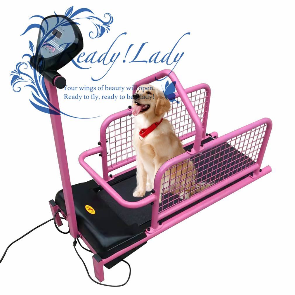 アニフル (anifull) 保定のできる犬型医療シミュレーター しばわん