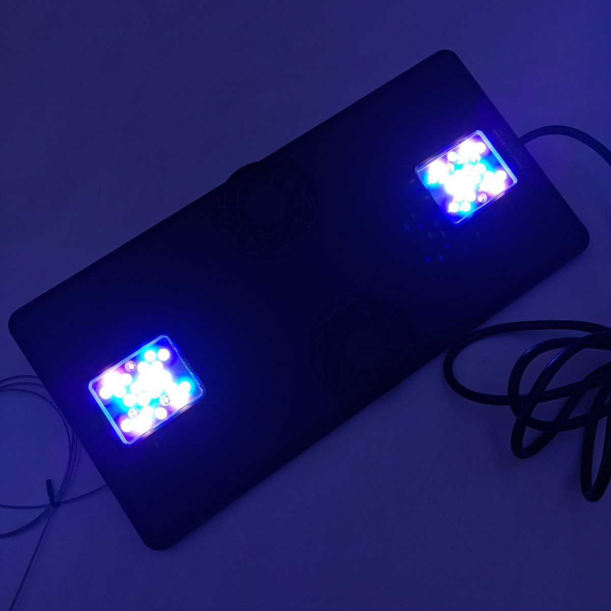 ボルクスジャパン GrassyCore X200 LED照明 純正ワイヤー付き ボルクス