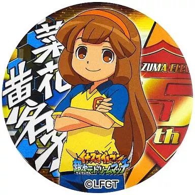 菜花黄名子 缶バッジ イナズマイレブン イナイレ イナズマイレブン 8個