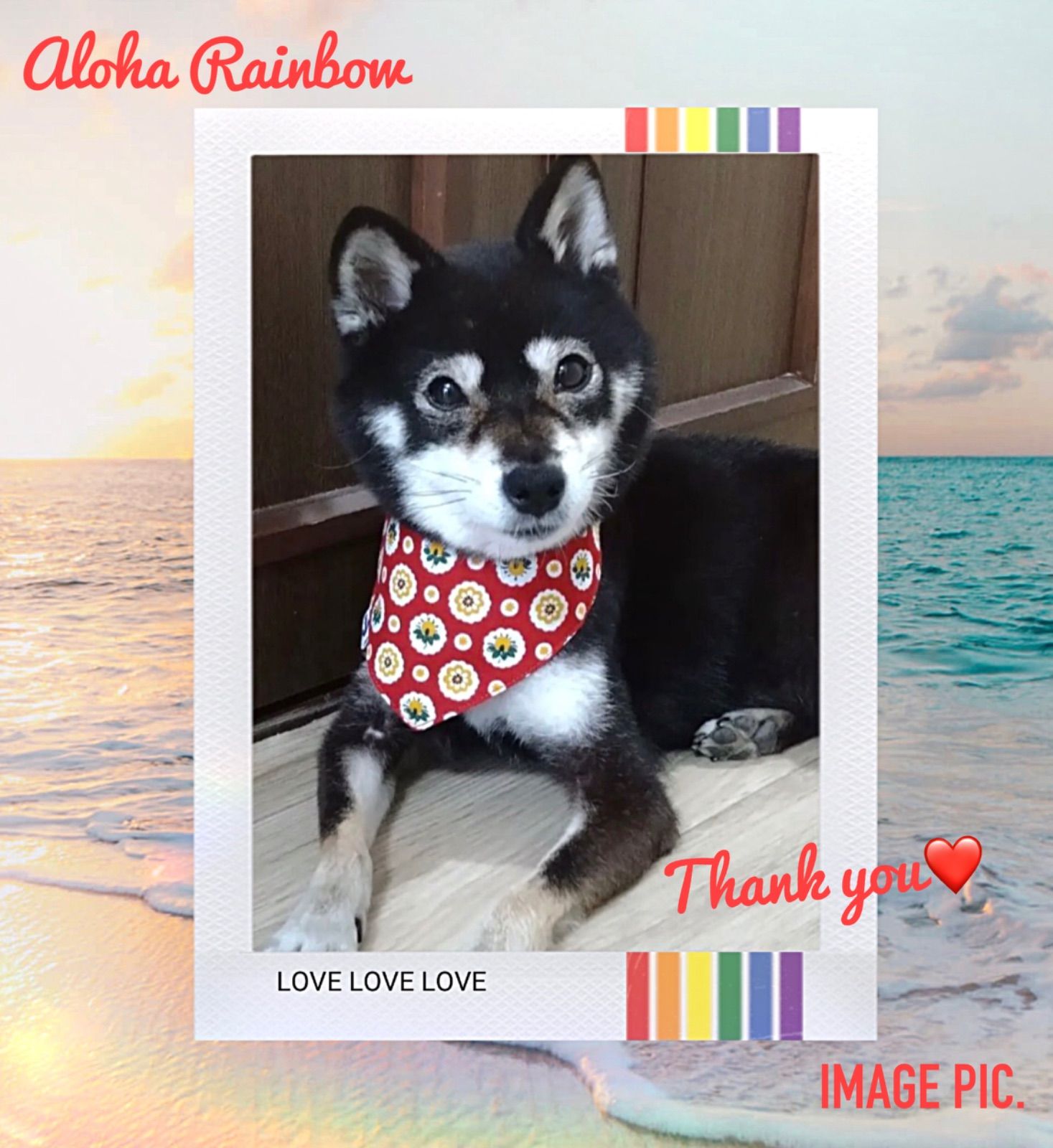 ☘️No.2266☘️ 犬猫用 リバーシブル バンダナ スタイ Mサイズ 花柄