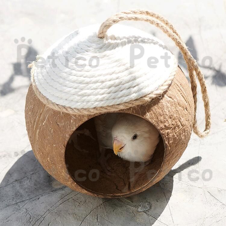 新品☆大型 犬屋 猫 ペット ニワト ニワトリ屋 アヒル 鳥かご