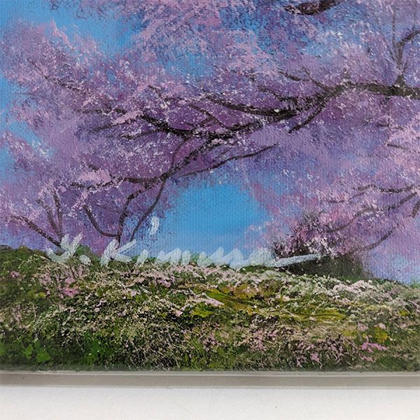 41㎝角「朝の桜」油彩・原画・S6 原画「朝の桜」S6・油彩 41㎝角「朝