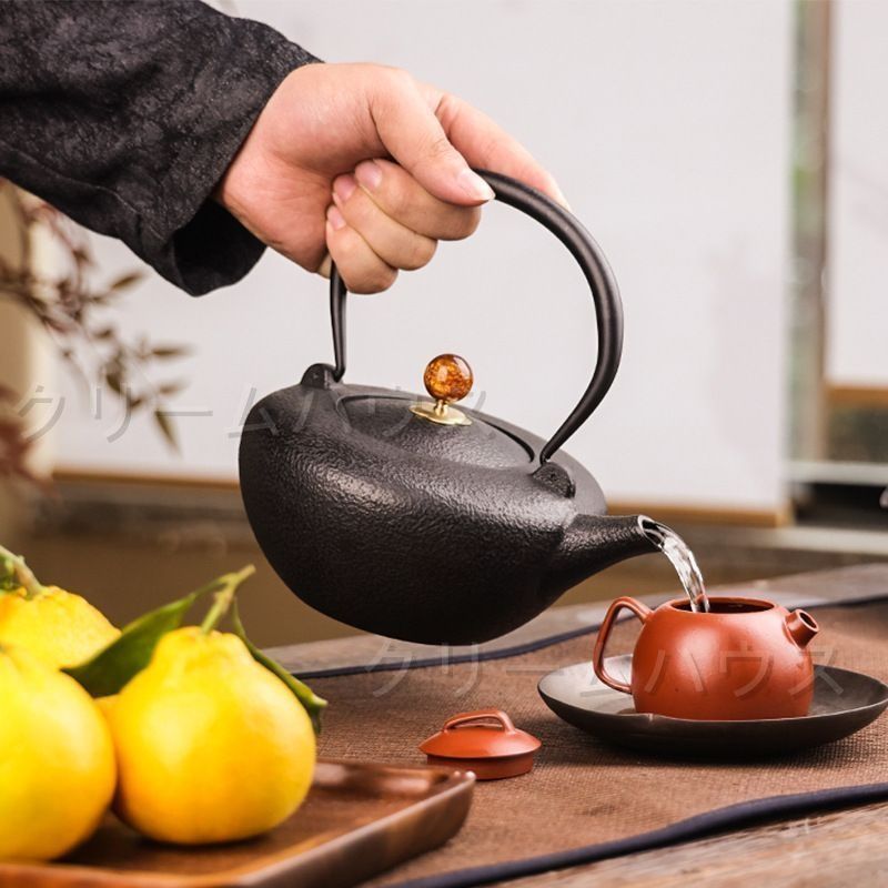鉄器 急須 伝統工芸 手作り 鉄分補給 鉄瓶 DMT066 鉄器 急須 伝統工芸