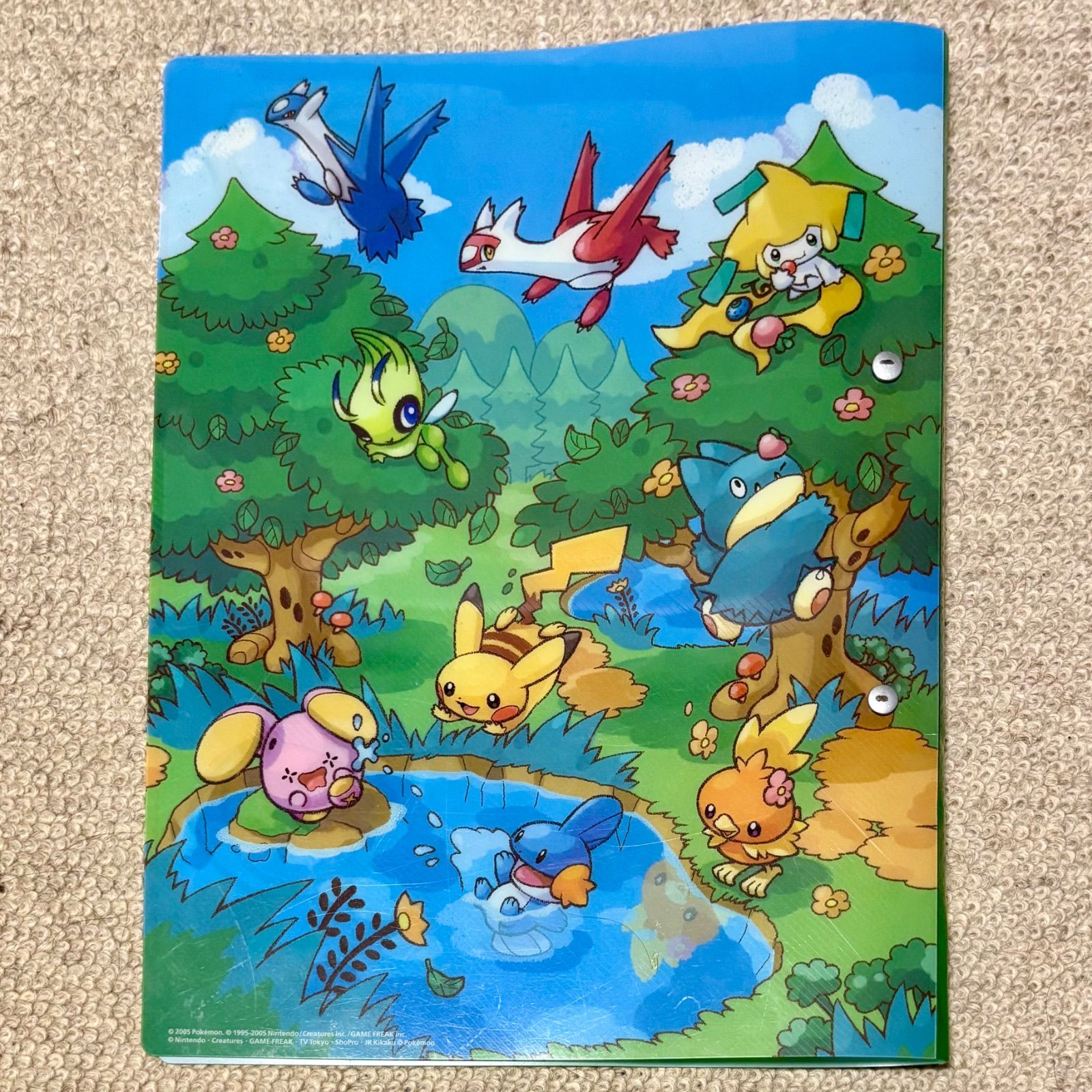 ポケモンカード フォレストシート ポケパーク ポケモンカード