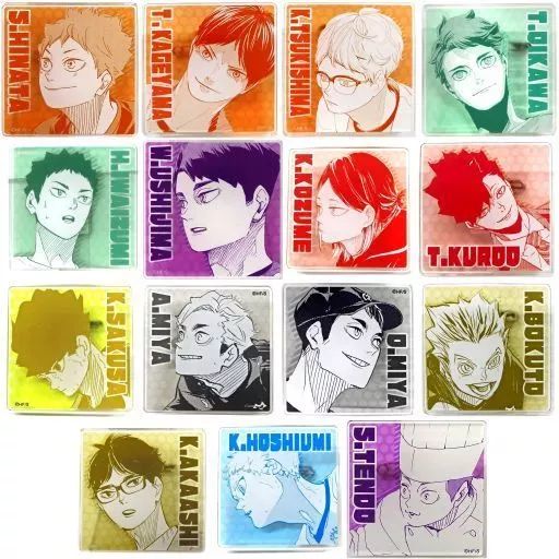 バッジ・ピンズ 全15種セット ストア 「ハイキュー!! 原画展東京