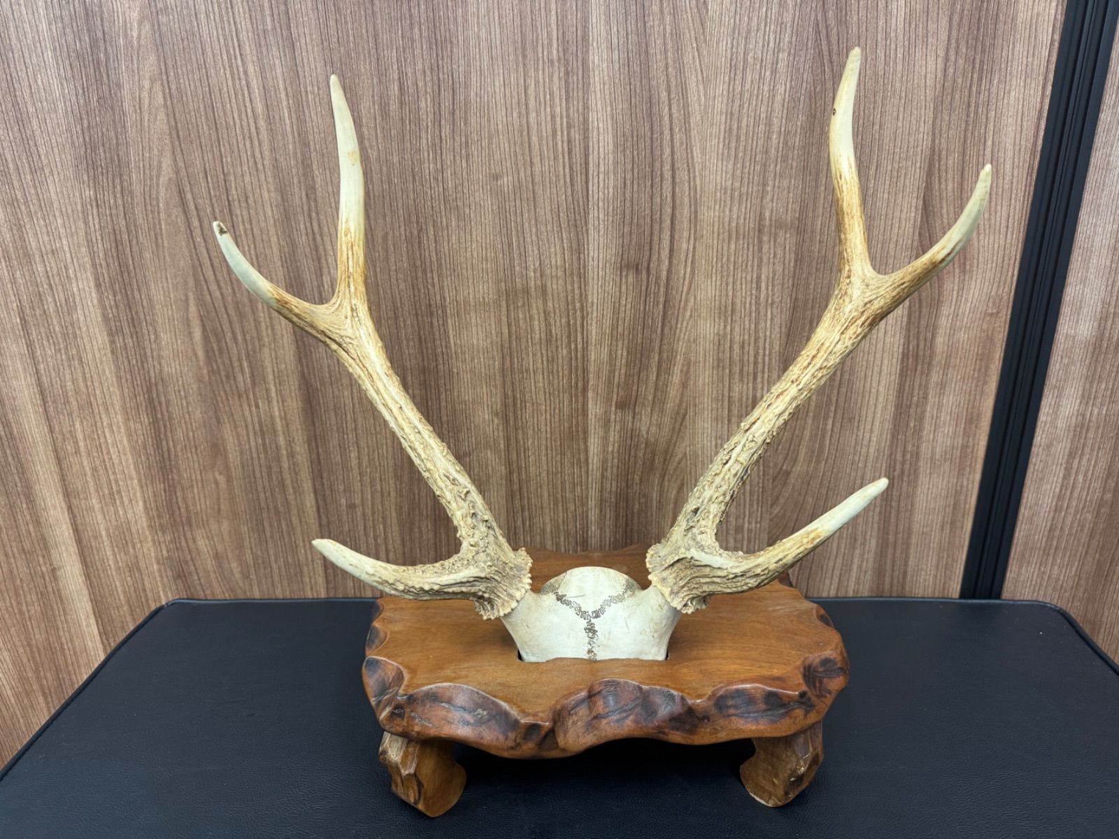 鹿の角刀掛け Yahoo!オークション -「鹿の角 刀掛け」の落札相場・落札価格