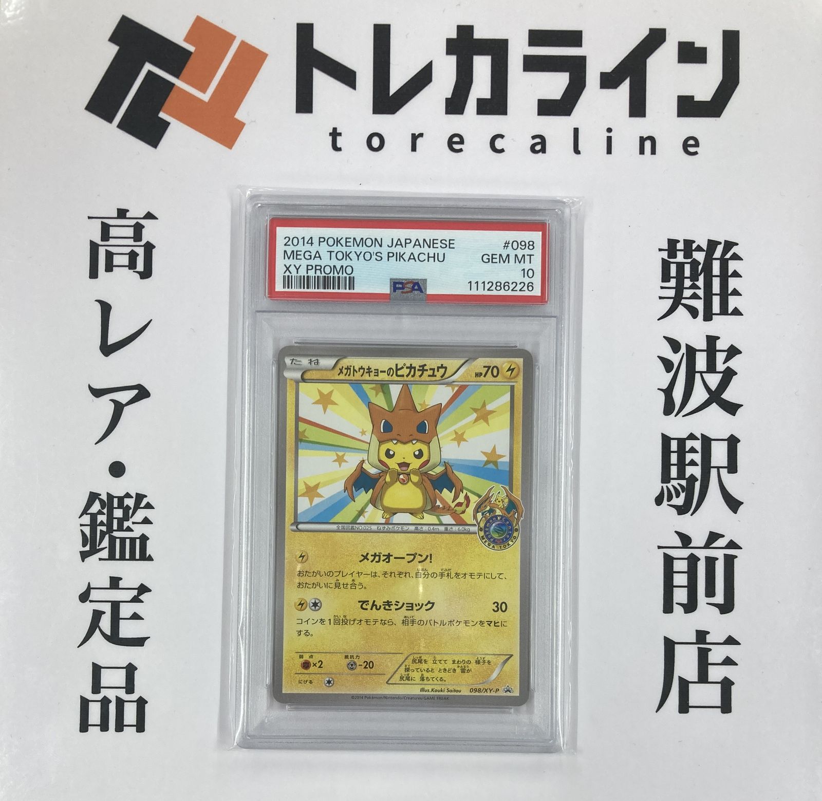 メガトウキョーのピカチュウ 天*丸様 メガトウキョーのピカチュウ