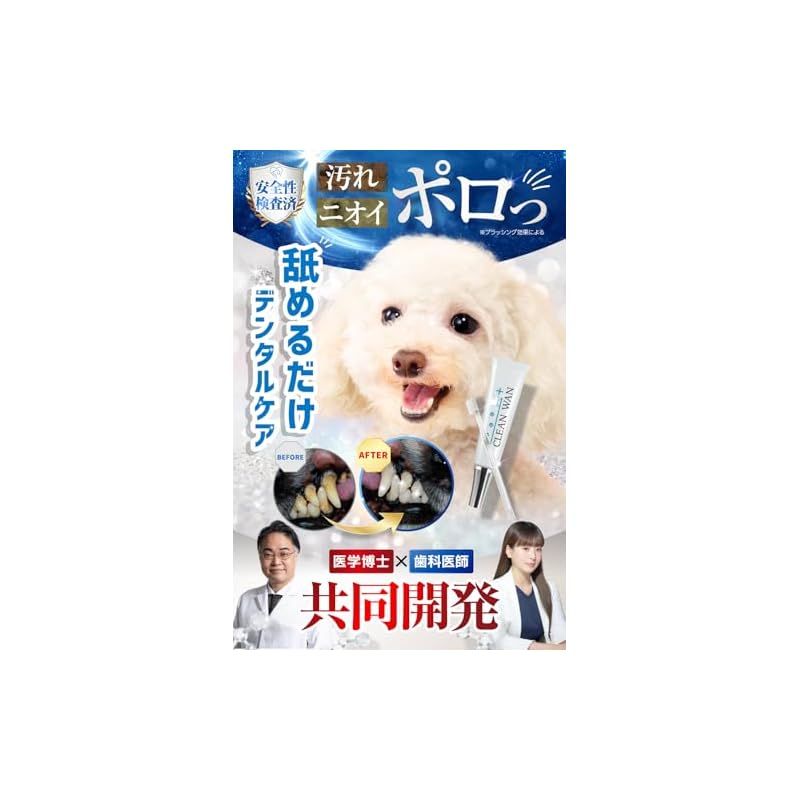 CLEAN WAN デンタルケア用品 15gらくとくクリーンワン6個セット Amazon