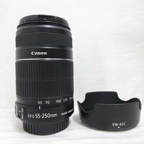 ショップ キャノン CANON 美品 ZOOM LENS EF-S 55-250mm 1:4-5.6 II 2