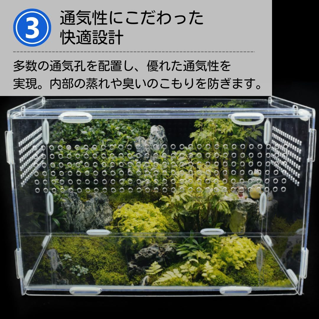 ateena 爬虫類 ケージ 飼育ケース 水槽 レプタイル 飼育セット