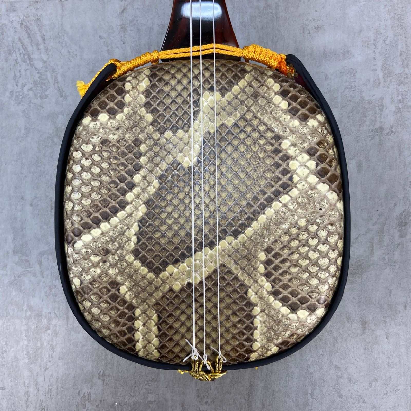 三線 三味線 蛇皮 沖縄 琉球 初心者 ケース : 三線 沖縄