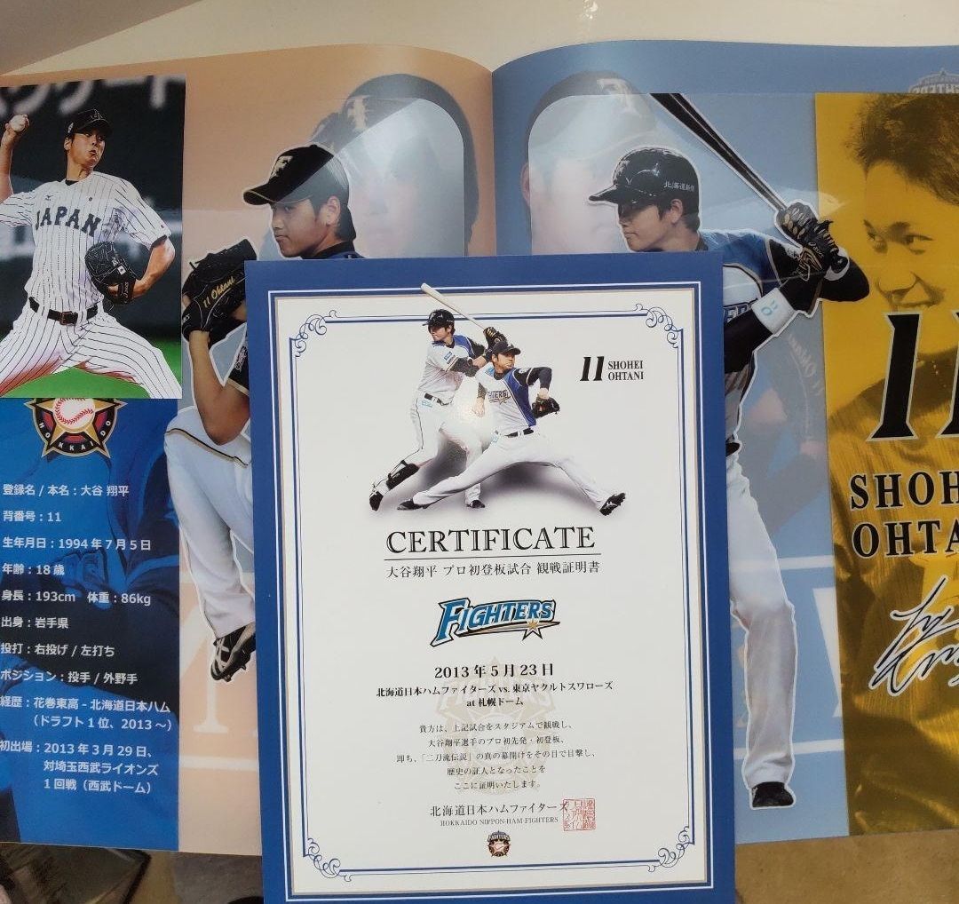 大谷翔平」直筆サイン入りWBC日本代表フォト特製フレーム | 999-111401