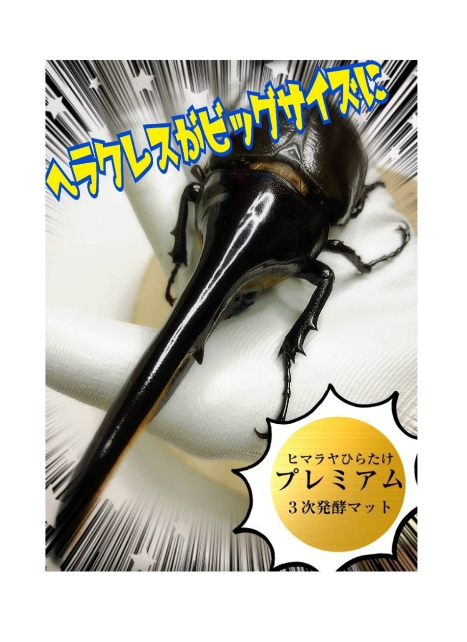 極上！プレミアム3次発酵ヘラクレスマット【5袋】特殊アミノ酸強化配合