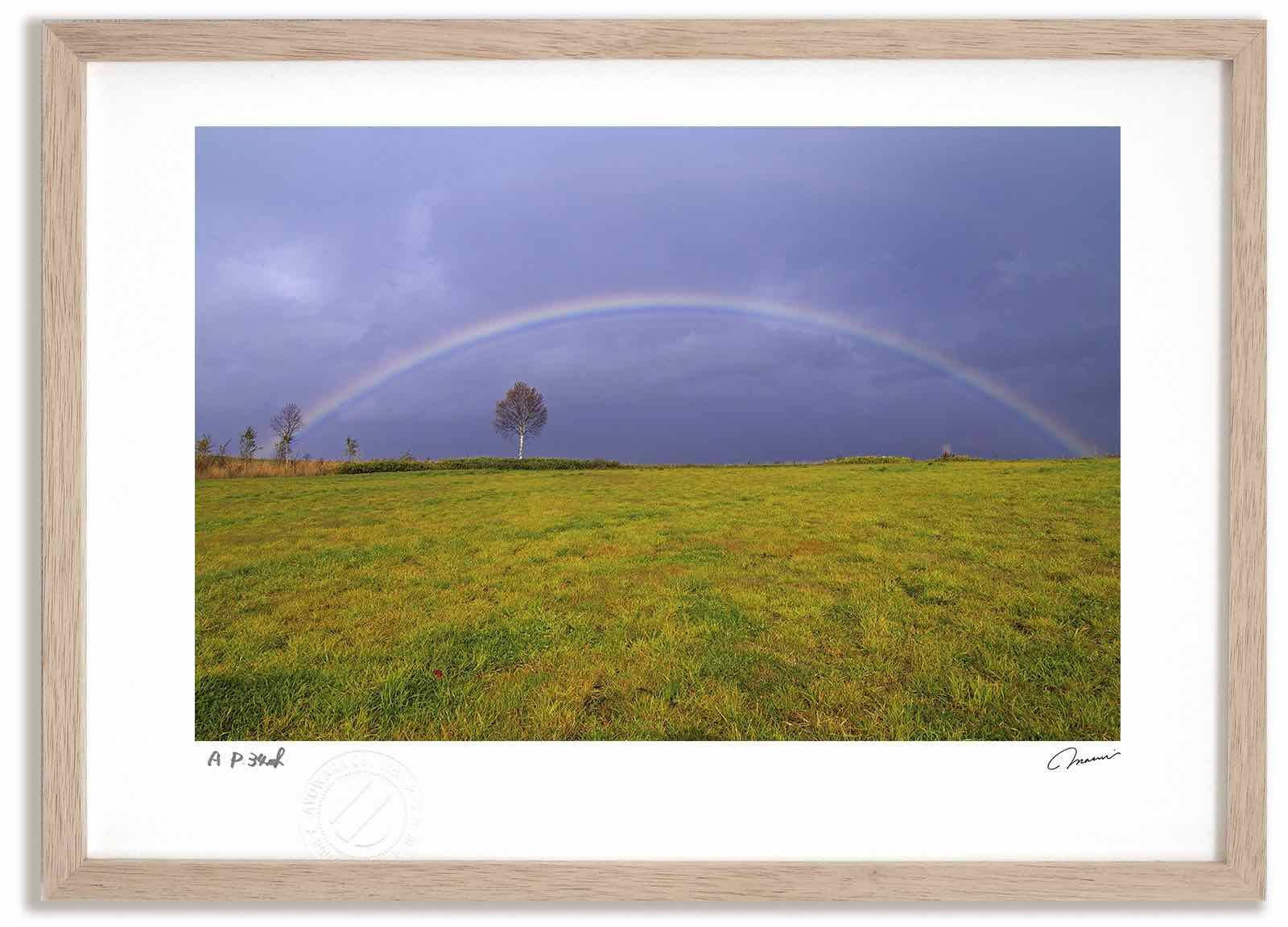 Sunrise 写真「天界からの光」Joshua 額装 富士山 自然 風景 J