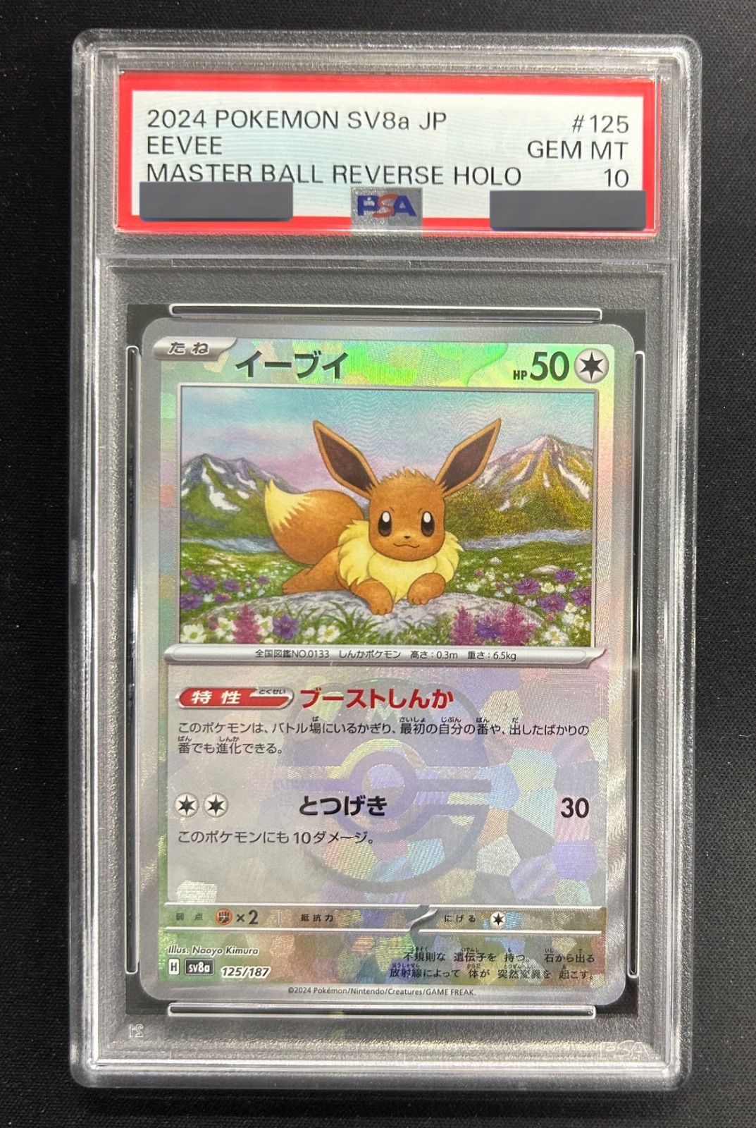 ポケモンカード イーブイ マスターボールミラー psa10 購入 3枚