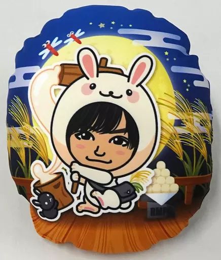 THE RAMPAGE 藤原樹 4th アニバ BIGクッション