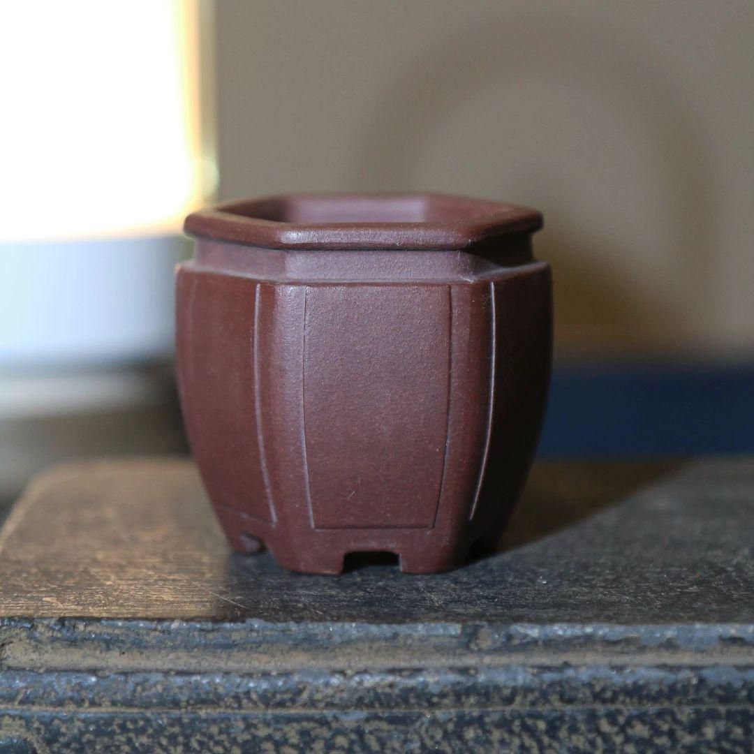 中国宜興 竜紋紫砂鉢 小花鉢 菖蒲盆栽 多肉植木鉢 小品盆栽鉢 大