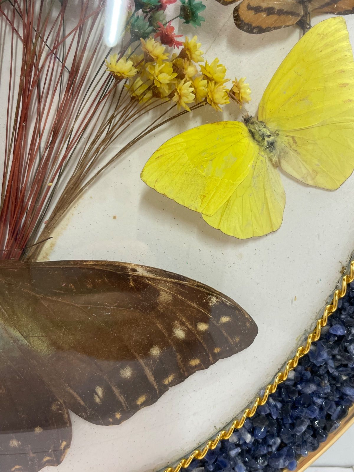 ブラジル モルフォ蝶 壁飾り ブラジル モルフォ蝶 インテリア クラフト