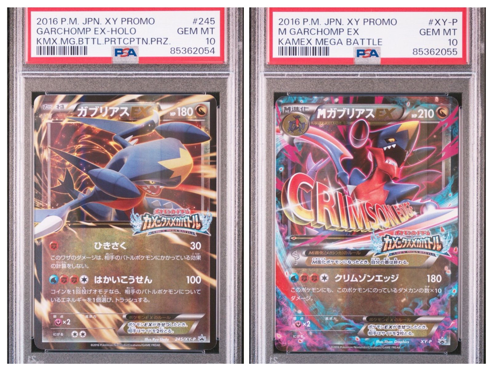 最安値【匿名配送】 PSA10M ガブリアスEX XY-P 最安値【匿名配送