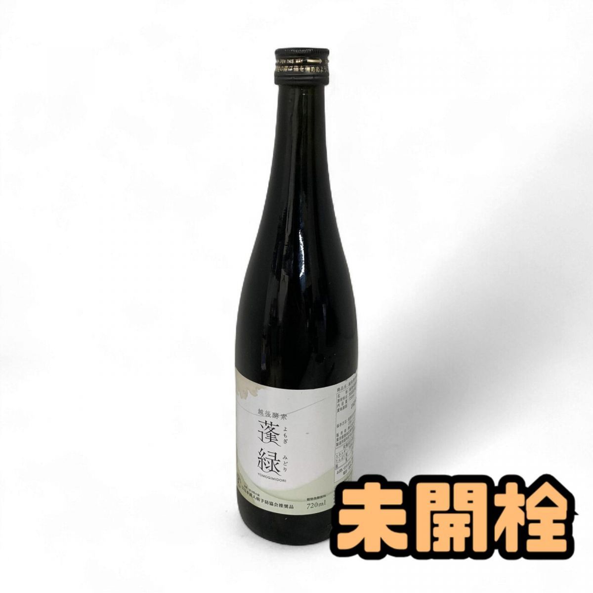 浅井健一 フジロック2000 ポートレート 激レアアイテム