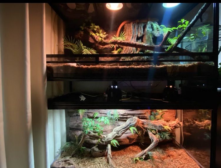 90x45x45cm爬虫類両生類飼育ケージ、組み立て式ガラス飼育ケージ卸販売