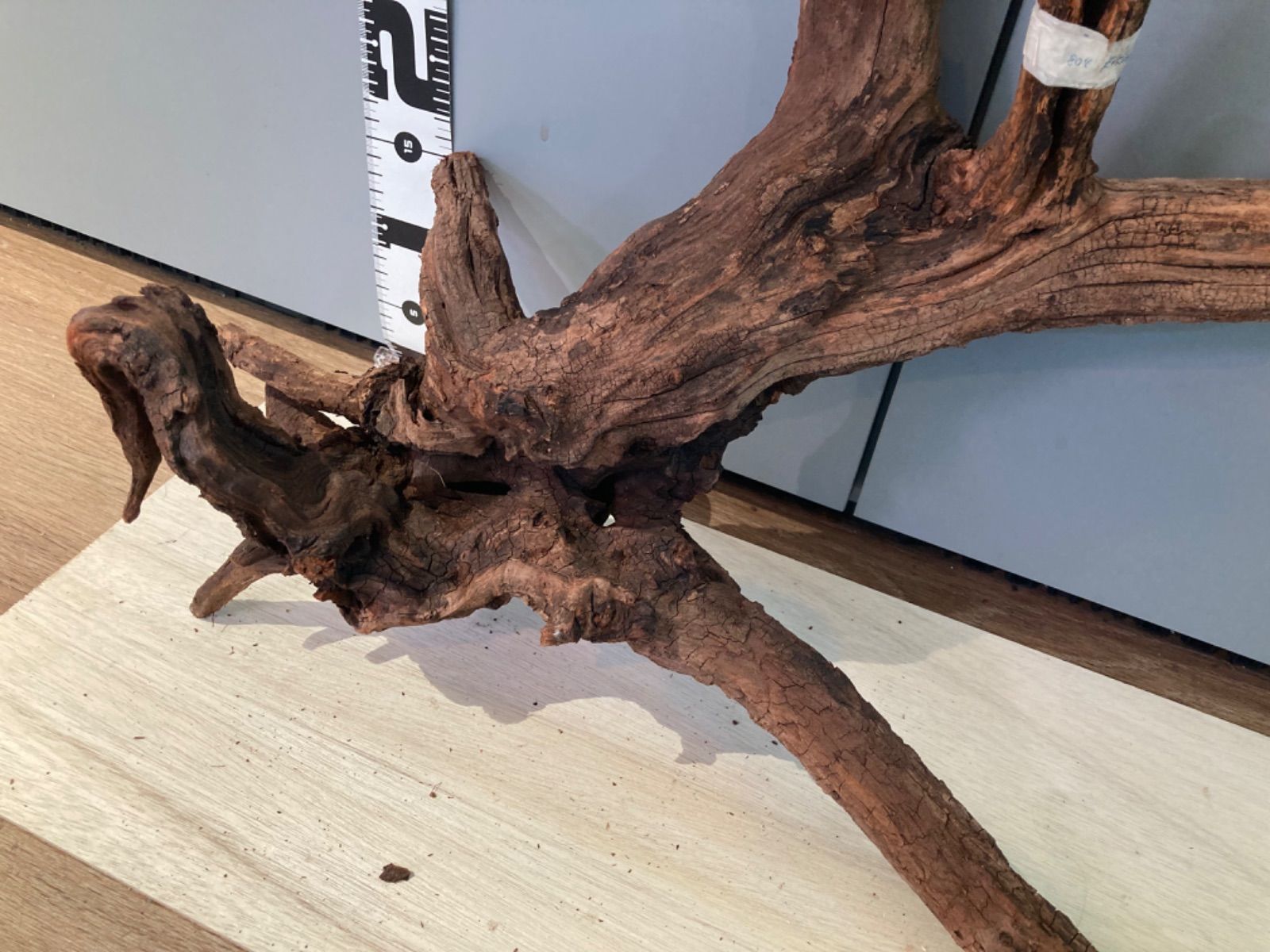 ホーンウッド系 流木 5 オファー ホーンウッド 登り木 流木 隠れ家