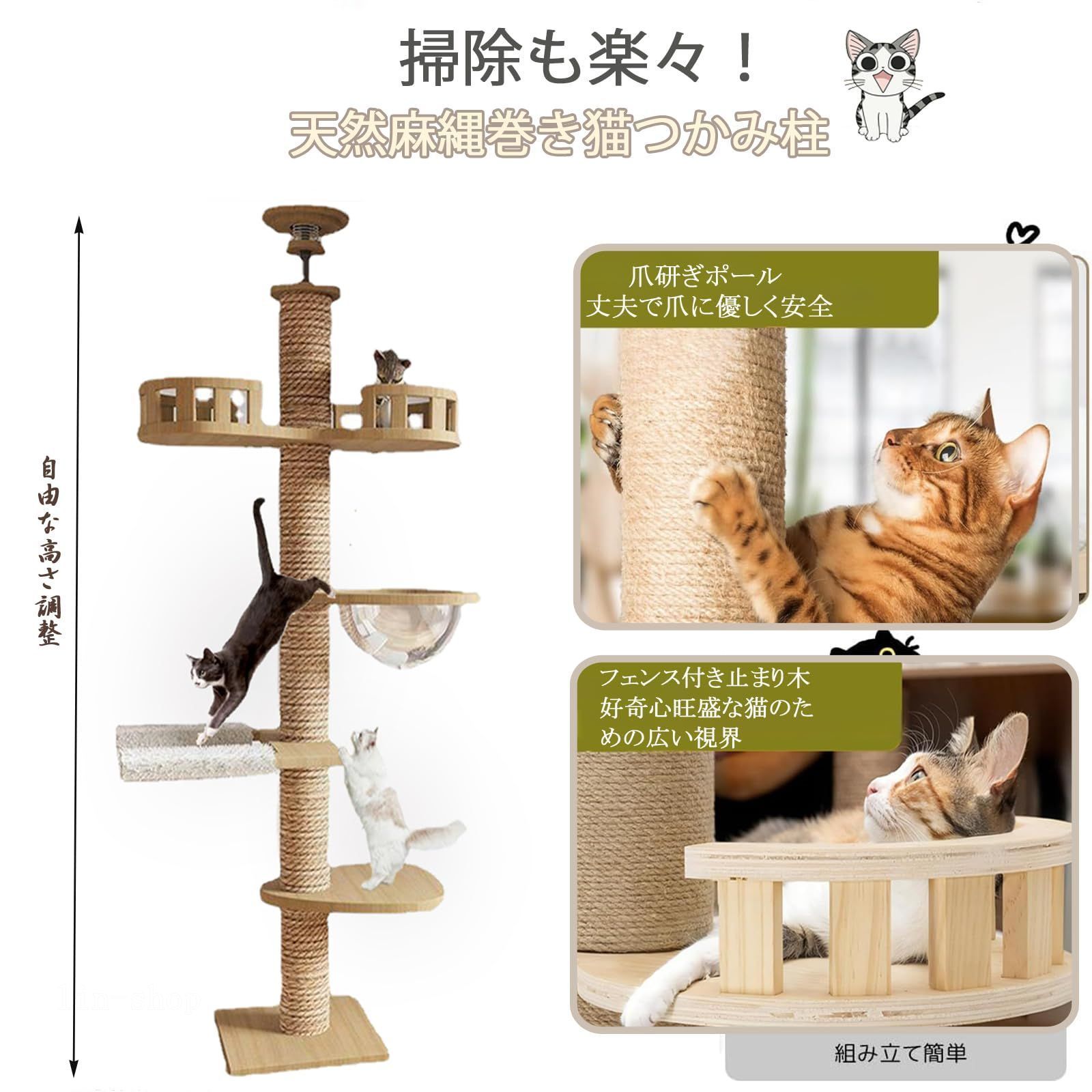 訳あり アウガルテン #74 訳あり アウガルテン スペイン乗馬学校