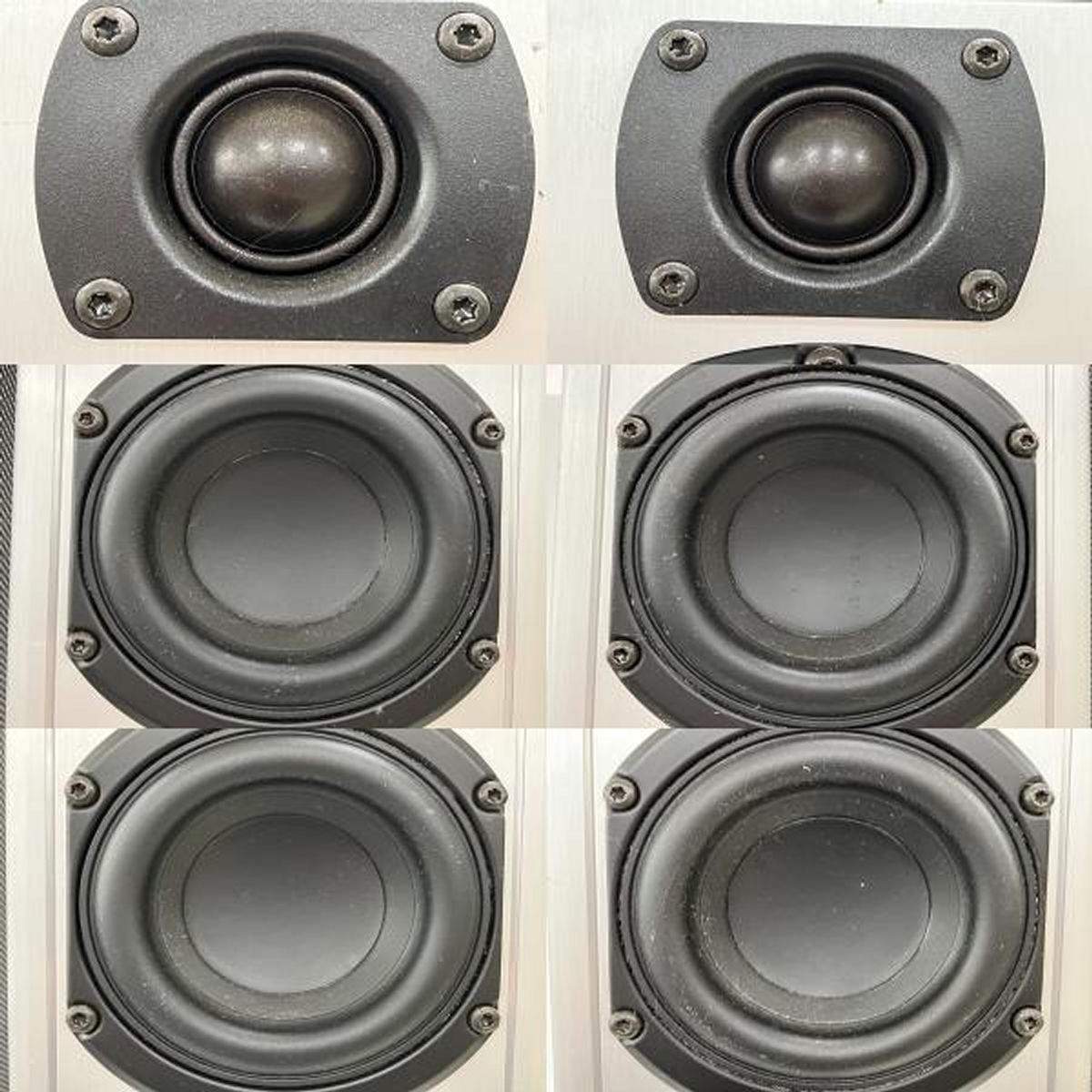 Piega TS5 スイス製トールボーイスピーカー