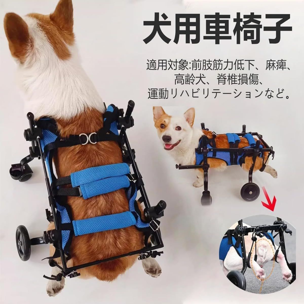 トイプードル4輪リハビリ食事補助犬用車椅子シニア体制維持犬の歩行