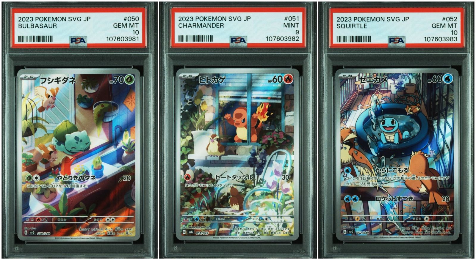 ヒトカゲ AR フシギダネ AR ゼニガメ AR スペシャルデッキセット③