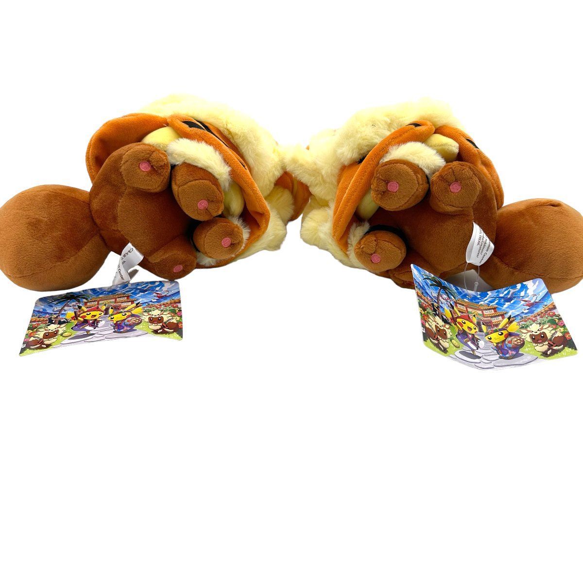 タグ付き！ポケモンセンター 沖縄限定 ウインディポンチョのイーブイ 2