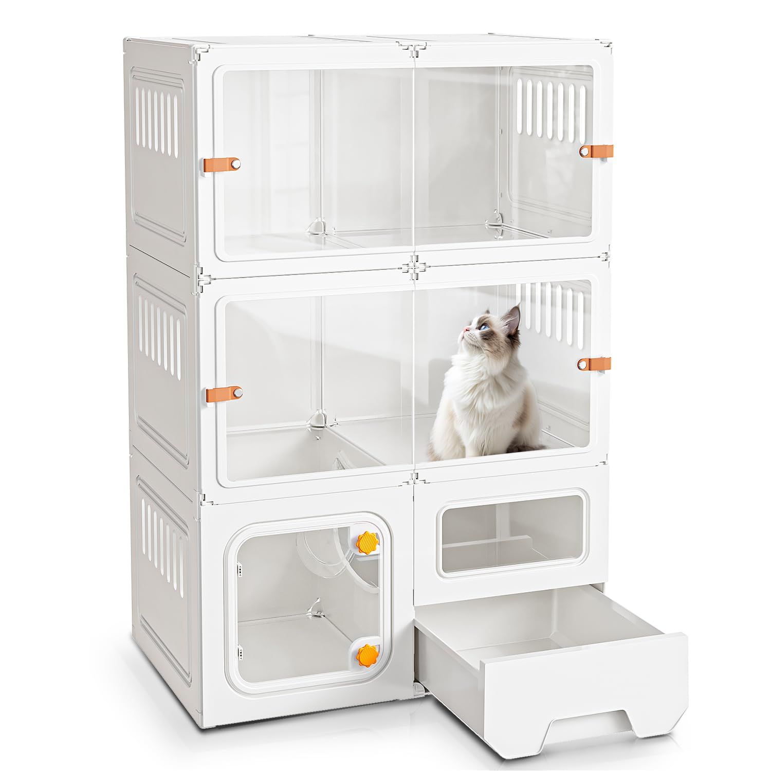 引取レインフォレストタンクL low中古1台 マイクロサン28w 中古1台 猫