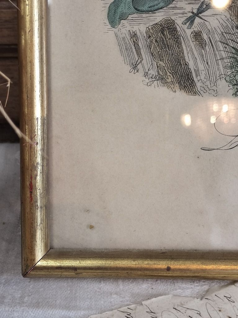 フランス アンティーク 木製ファッションイラスト付きフレーム額