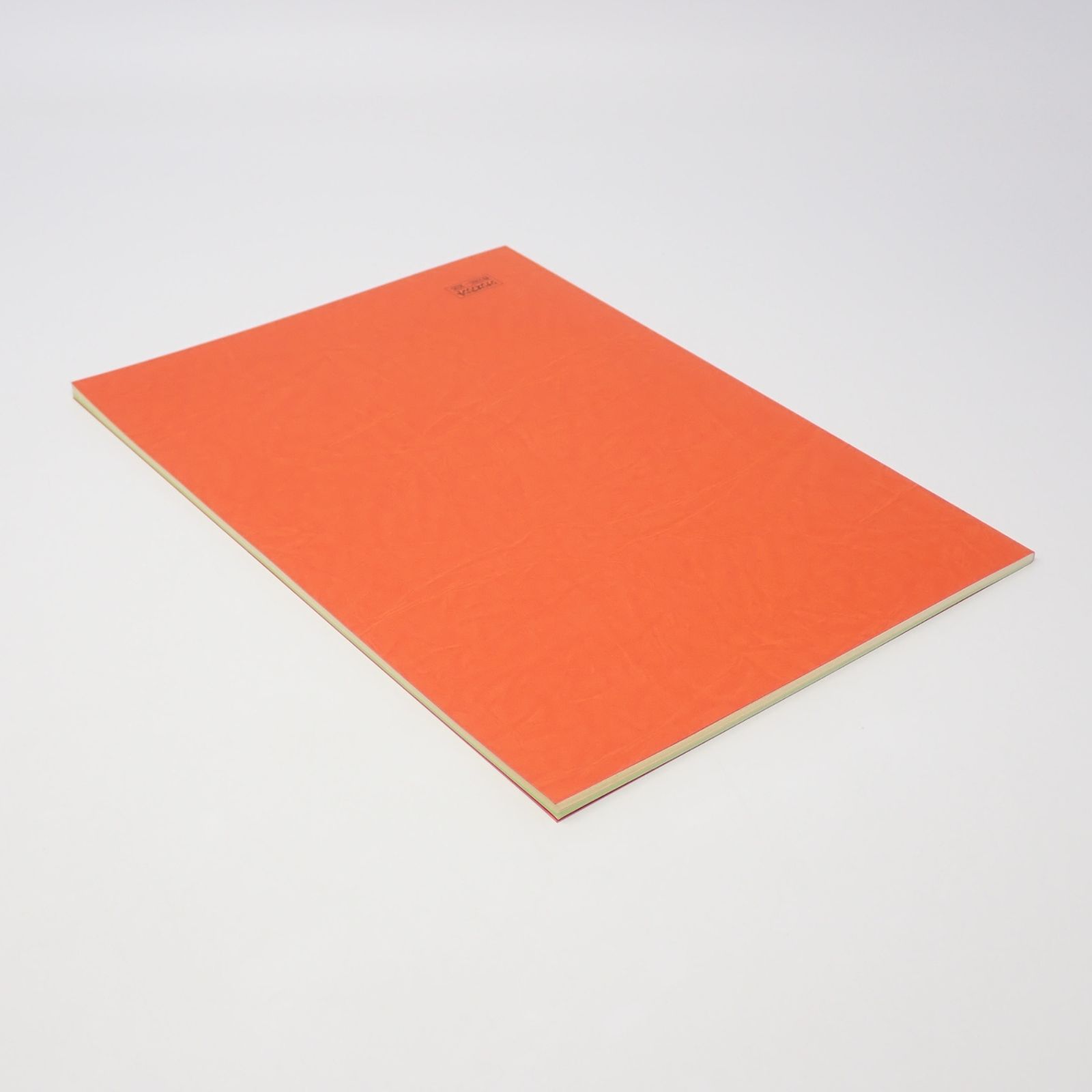 ウルトラマンコスモス 決定稿 円谷プロ 第28話「強さと力」台本 脚本 本