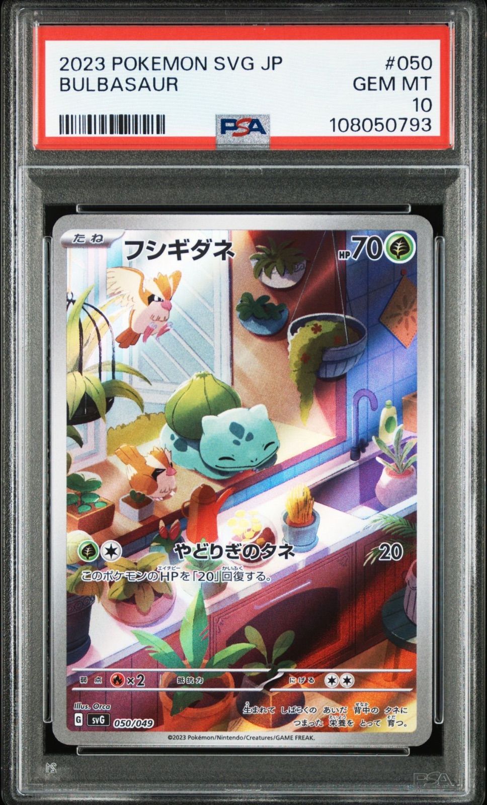 販売済み PSA10 3連番 フシギダネ ヒトカゲ ゼニガメ AR スペシャル