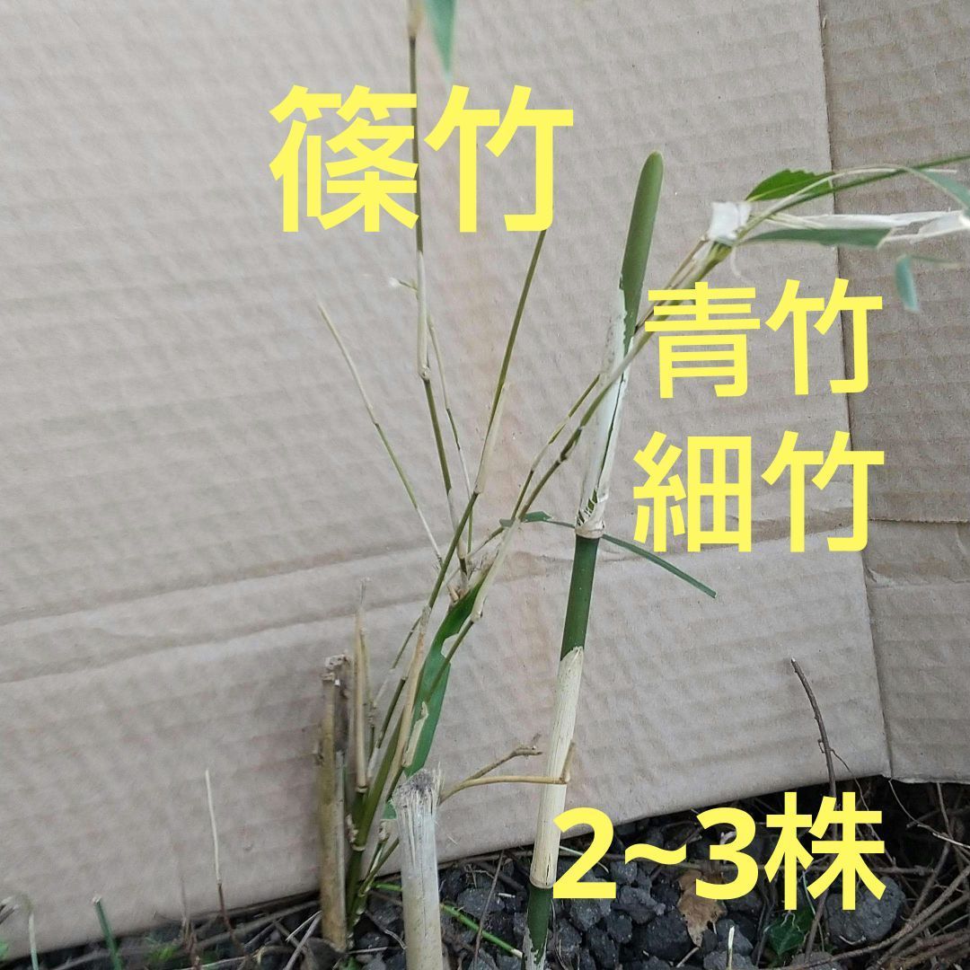 吉岡宗雲 阿弥陀如来 仏像 白檀 吉岡宗雲 阿弥陀如来 仏像 白檀