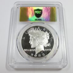 1879年 CC カーソンシティ PCGS F 詳細 - シルバー モルガン ダラー 1