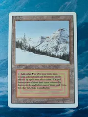 shopsクーポン配布中)MTG Taiga