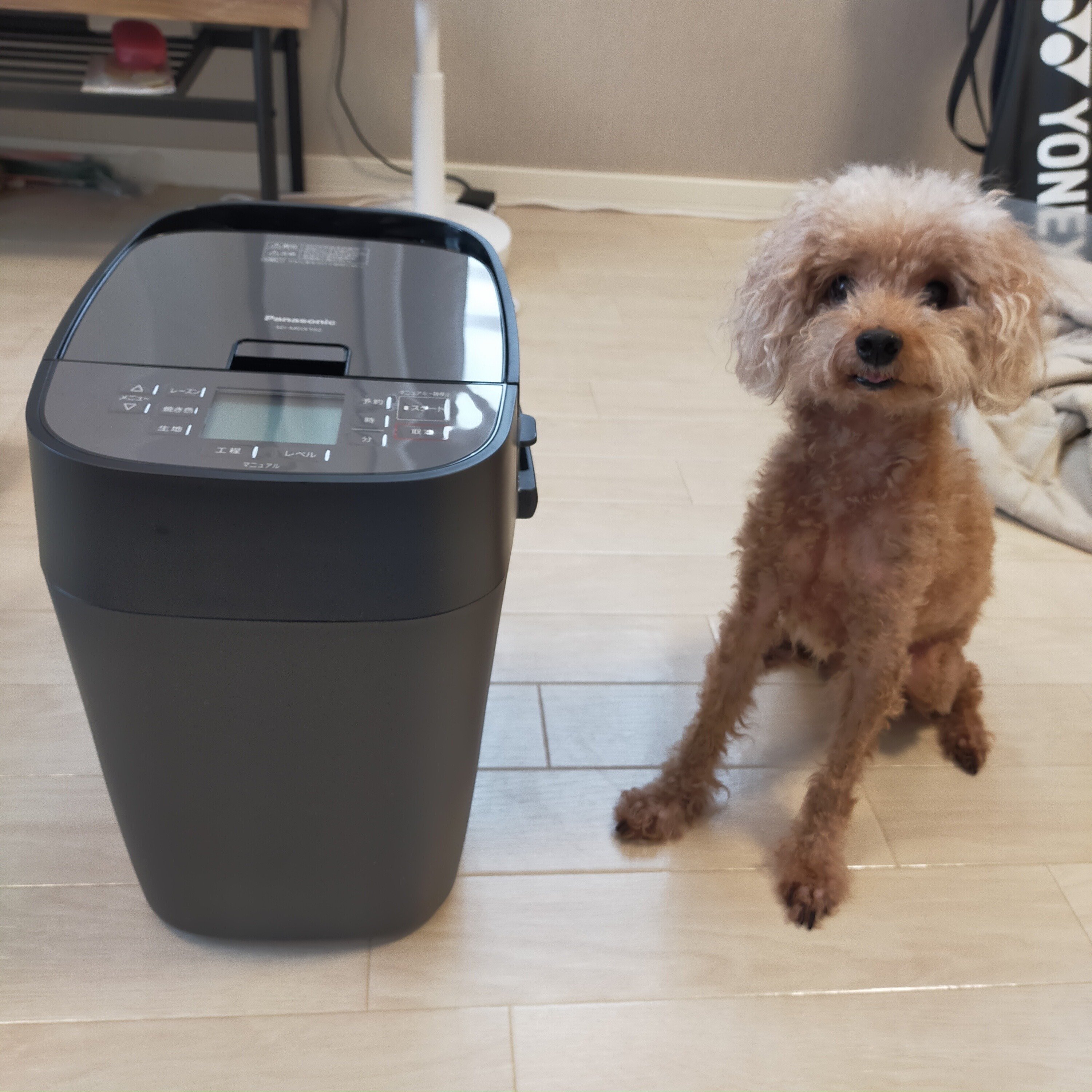 美品]パナソニック ホームベーカリー SD-MDX102 Amazon | パナソニック